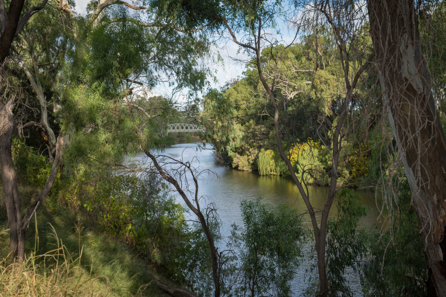 ADA Goondiwindi