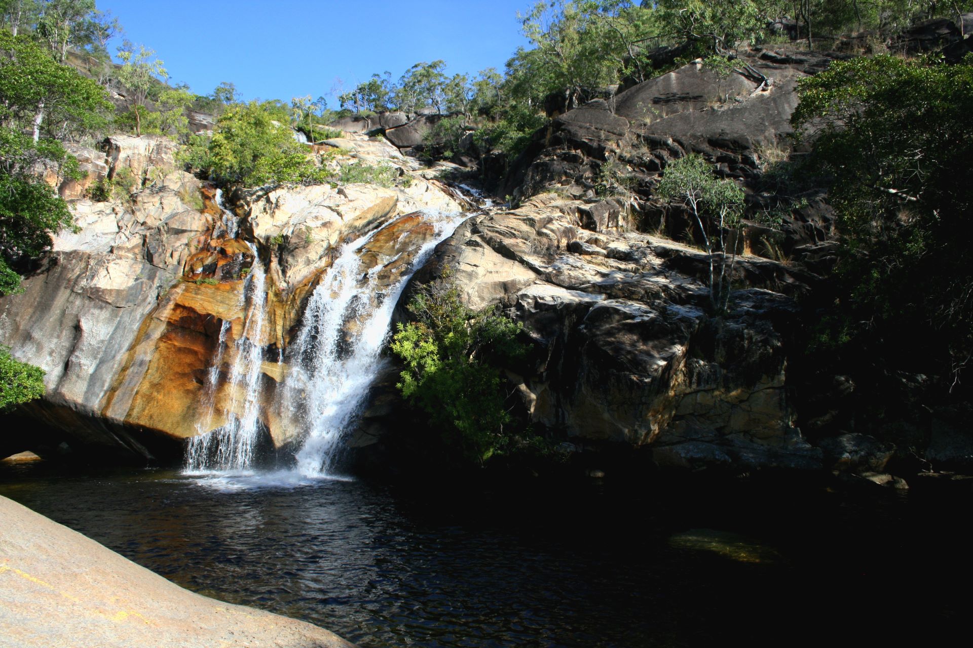 ADA Mareeba